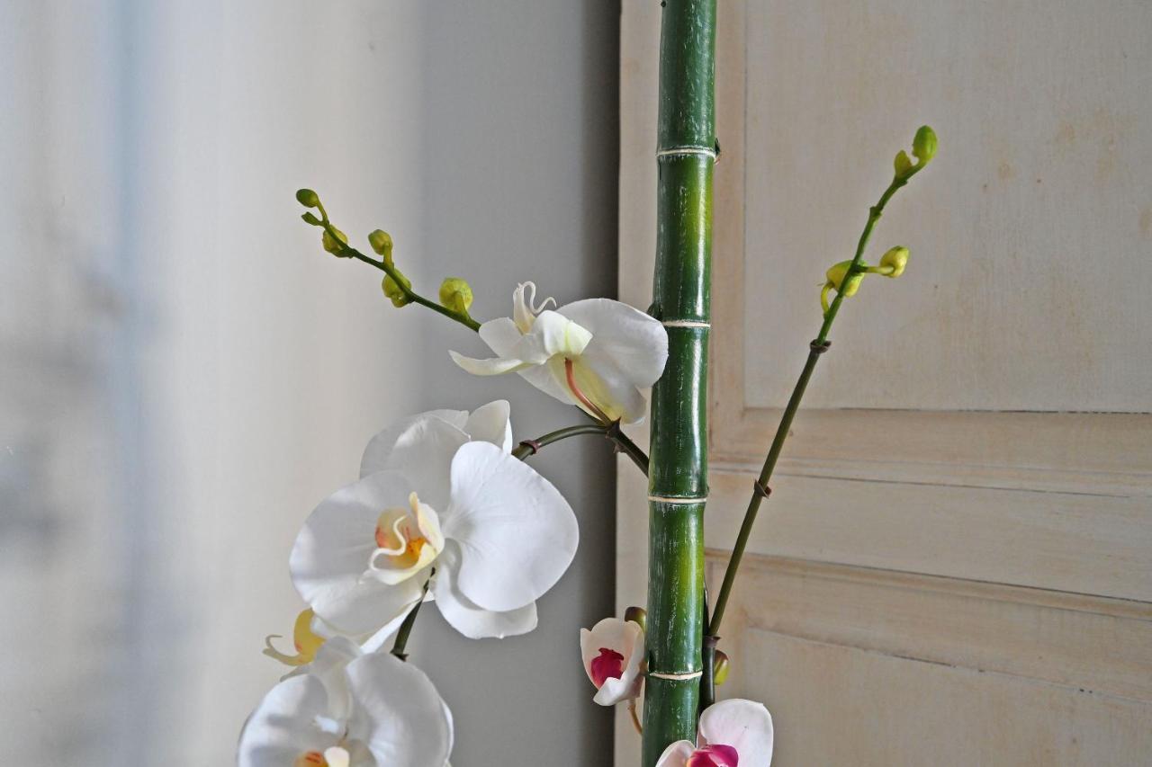 Au Coeur Des Papes, Dans Batisse De Charme Studios & Appartements En Coeur De Ville Aviñón Exterior foto